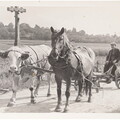 Gespann aus Ochs und Pferd am Feldkreuz - Feldarbeit - Standort Feldkreuz bei der heutigen Kiesgrube - auf dem Gespann "Alfons Meyer" aus der Dorfstrasse.