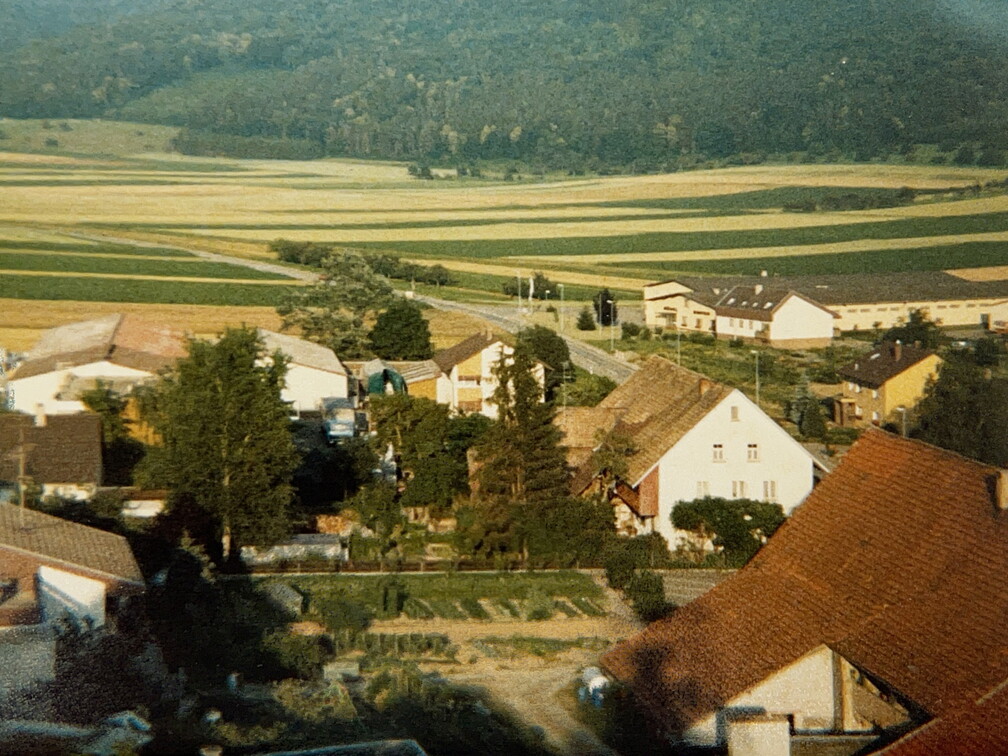 Ungewöhnliche Perspektive - Häuser fotografiert während der Kirchenrenovation vom Kirchturmgerüst.