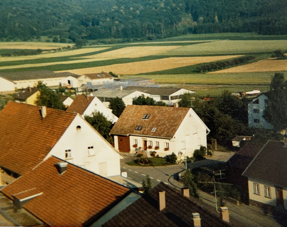 Ungewöhnliche Perspektive - Häuser fotografiert während der Kirchenrenovation vom Kirchturmgerüst.