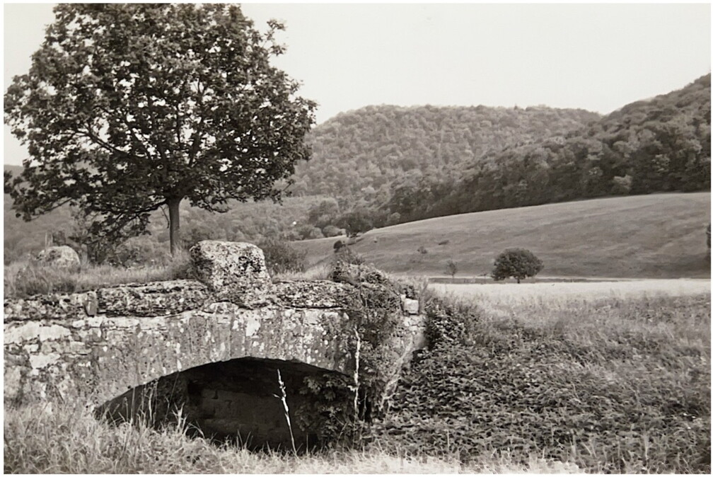 Alte Schwarzbachbrücke zum Rastplatz, Blick zum Wald