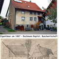 Blätter Fertig1