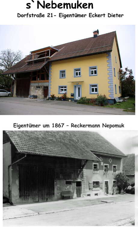 Blätter Fertig7