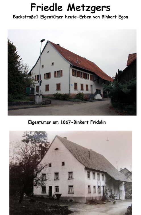 Blätter Fertig9