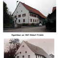 Blätter Fertig9