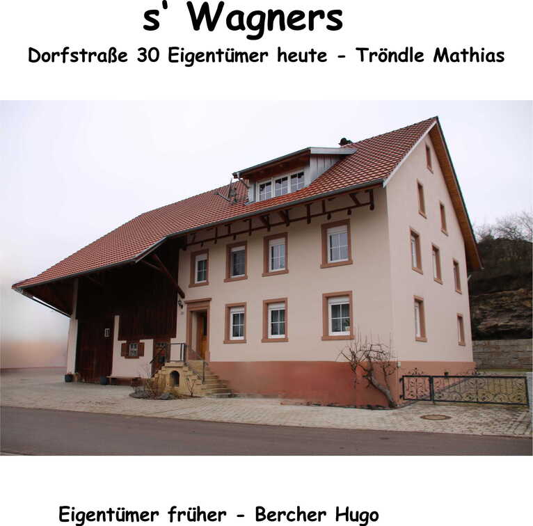 Blätter Fertig20